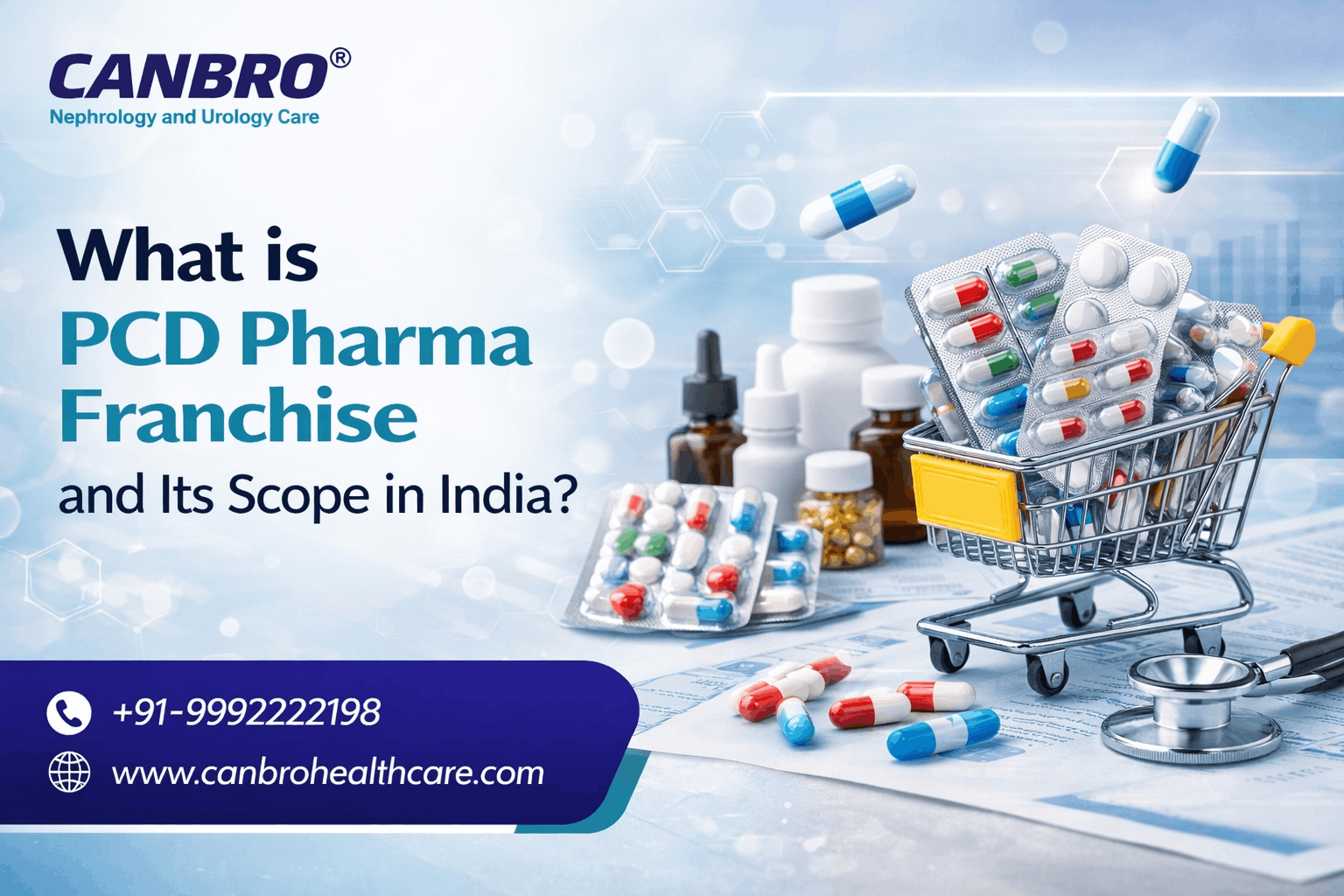 What is PCD Pharma Franchise and Its Scope in India?